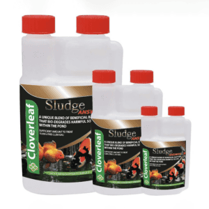 Cloverleaf Sludge Answer