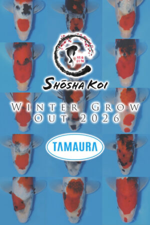 Winter Grow Out 2026